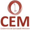 CEM 100 100